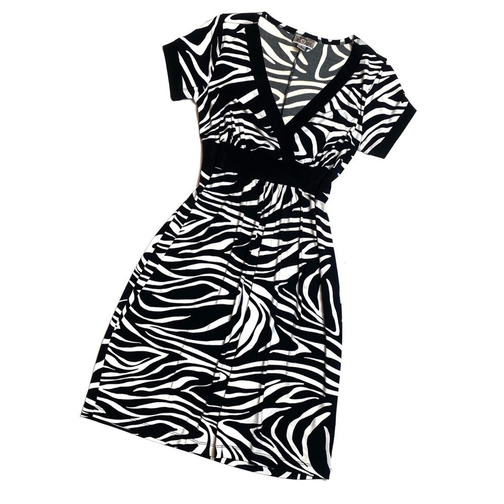 Vintage Sweet Storm Y2K Zebra Dress